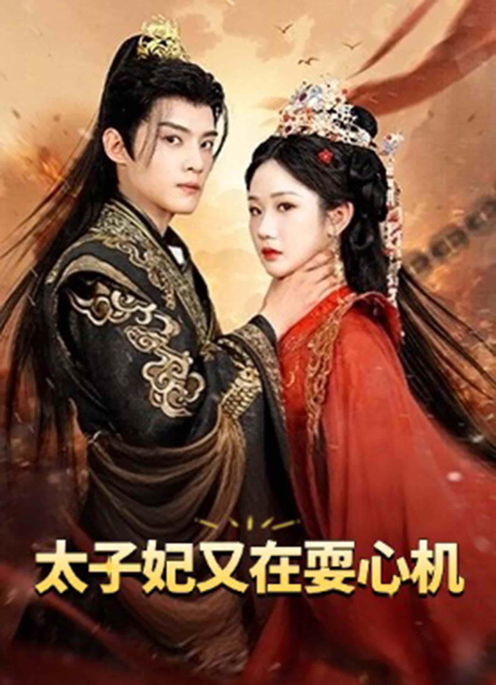 太子妃又在耍心机（蓝光）