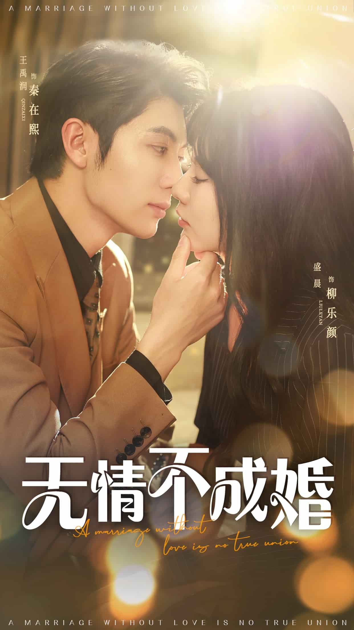 无情不成婚(蓝光)