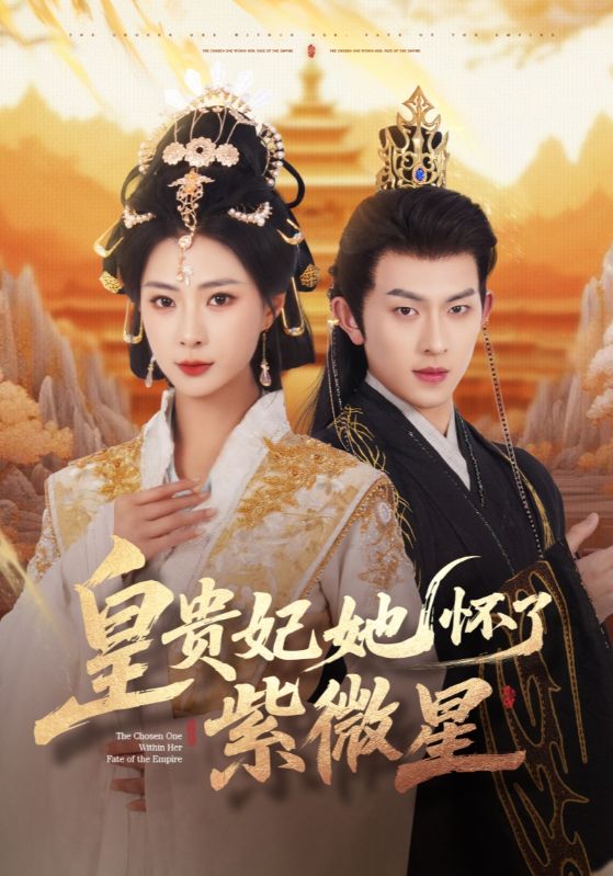 皇贵妃她怀了紫薇星(蓝光)