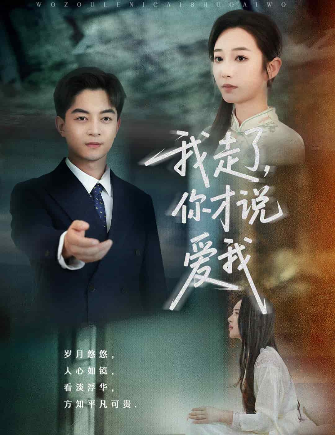 我走了你才说爱我(1080)