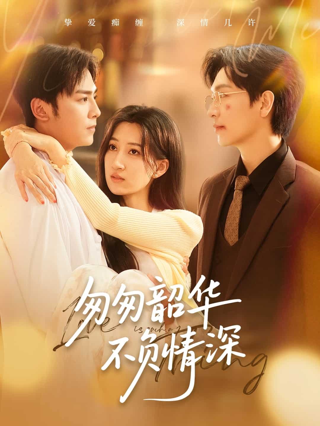 匆匆韶华不负情深(蓝光)