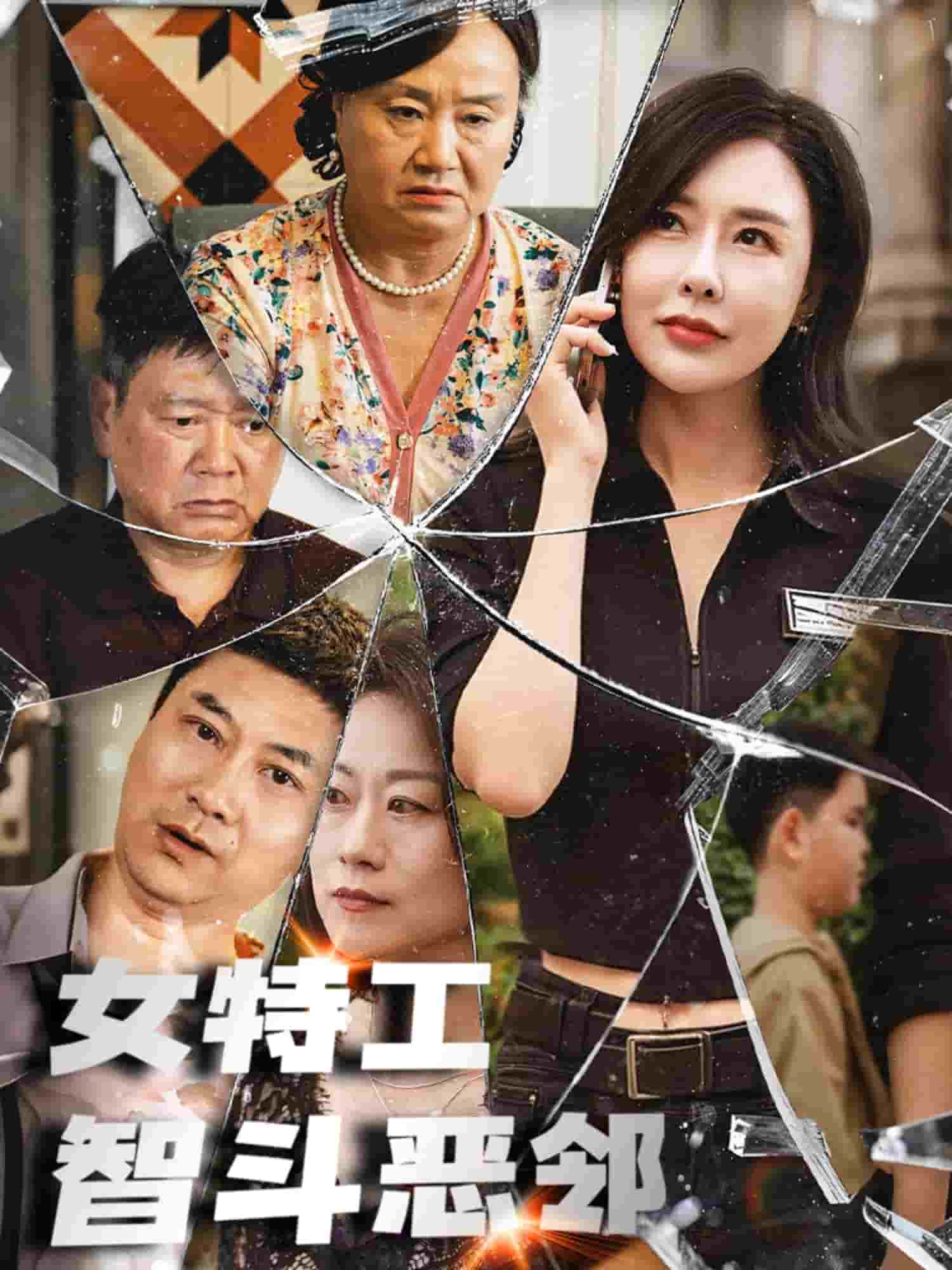 女特工智斗恶邻（1080）