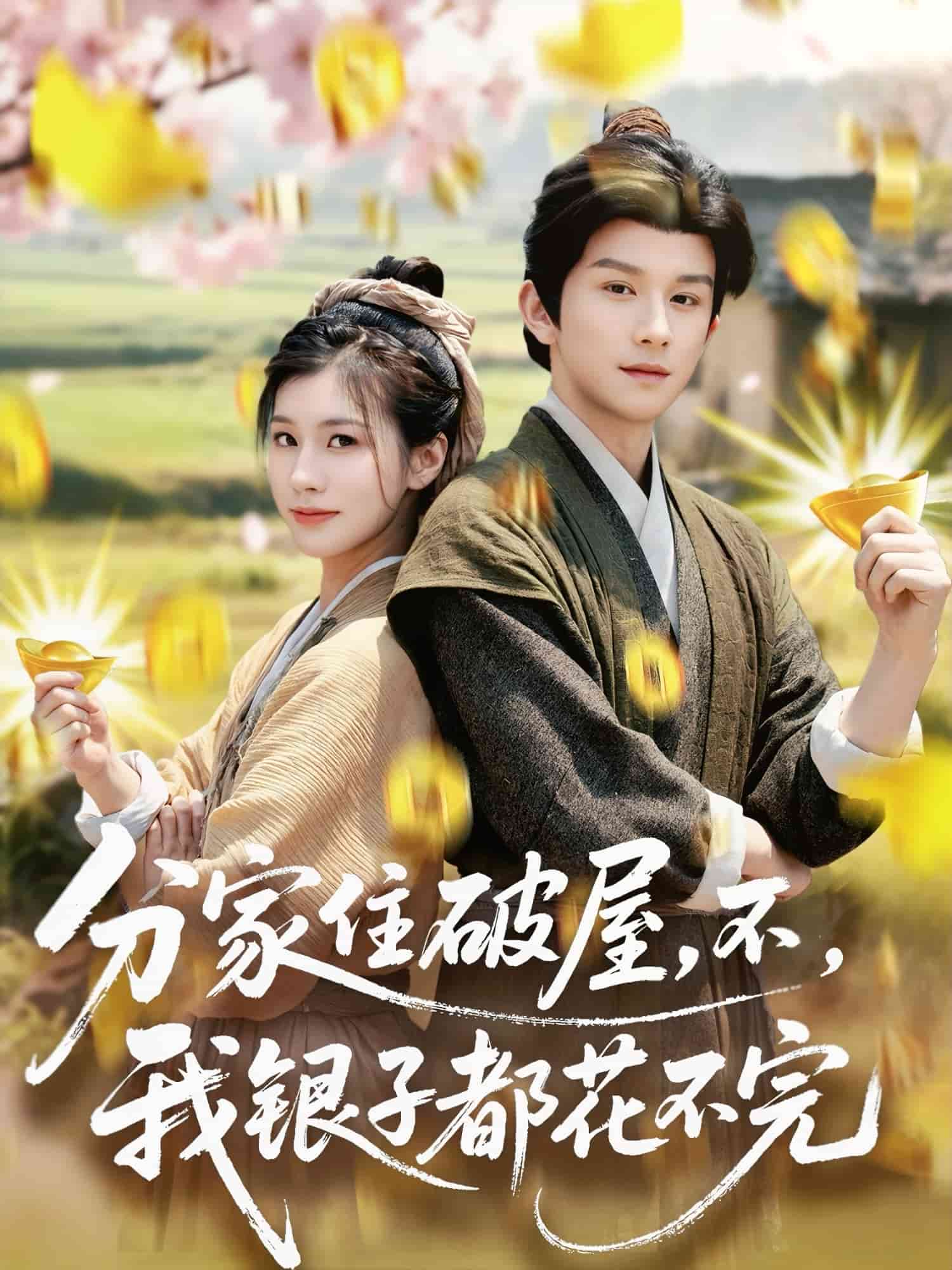 分家住破屋不我银子都花不完（蓝光）