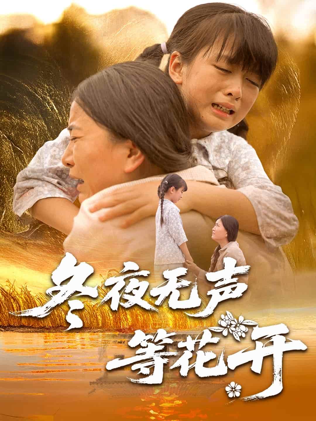 冬夜无声等花开（蓝光）