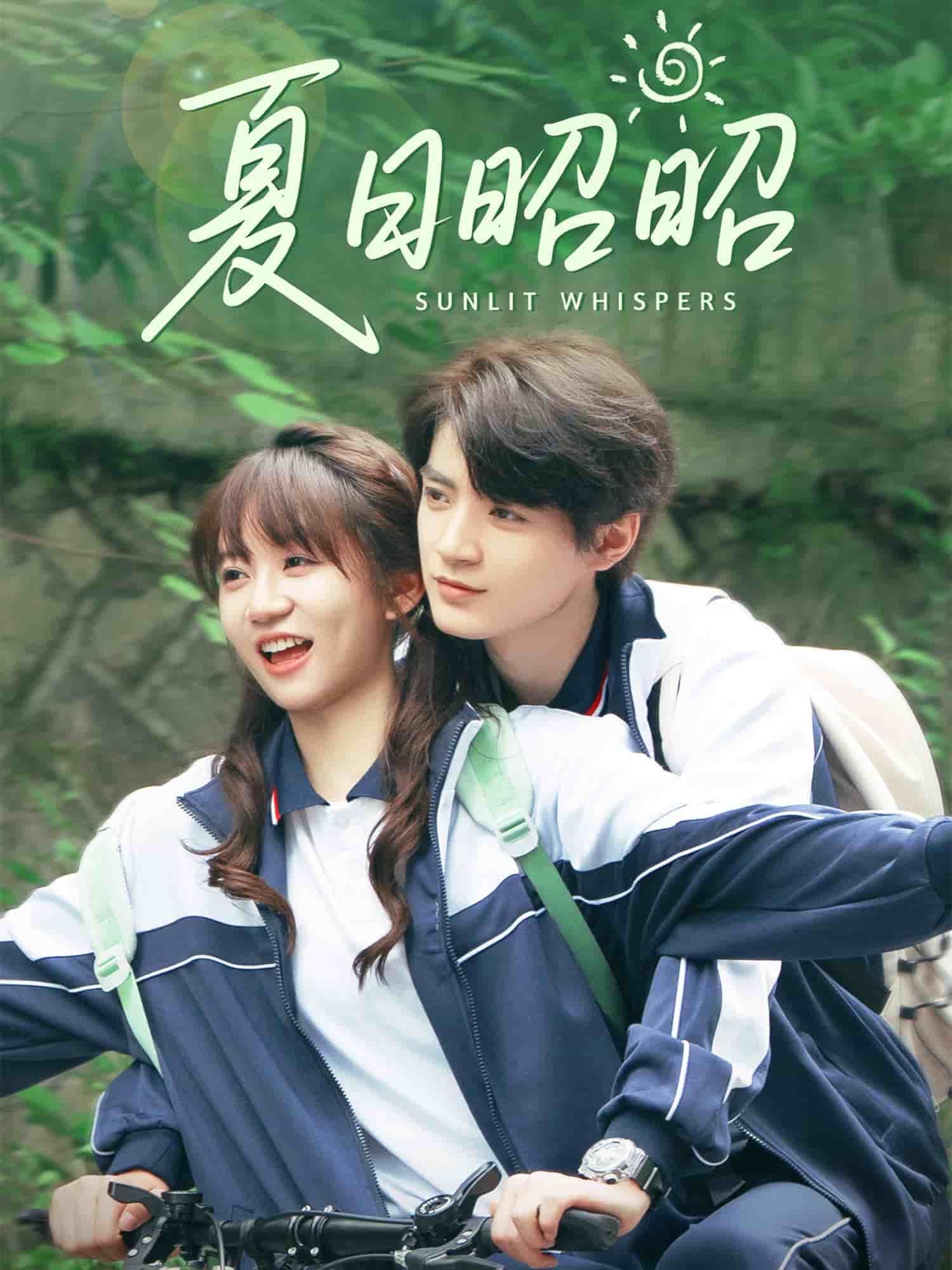 夏日昭昭（蓝光）