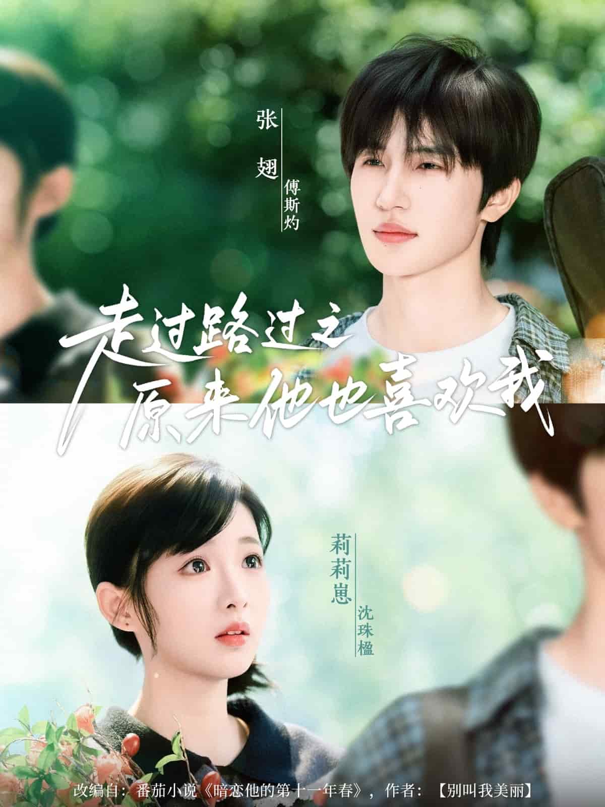走过路过之原来他也喜欢我（蓝光）