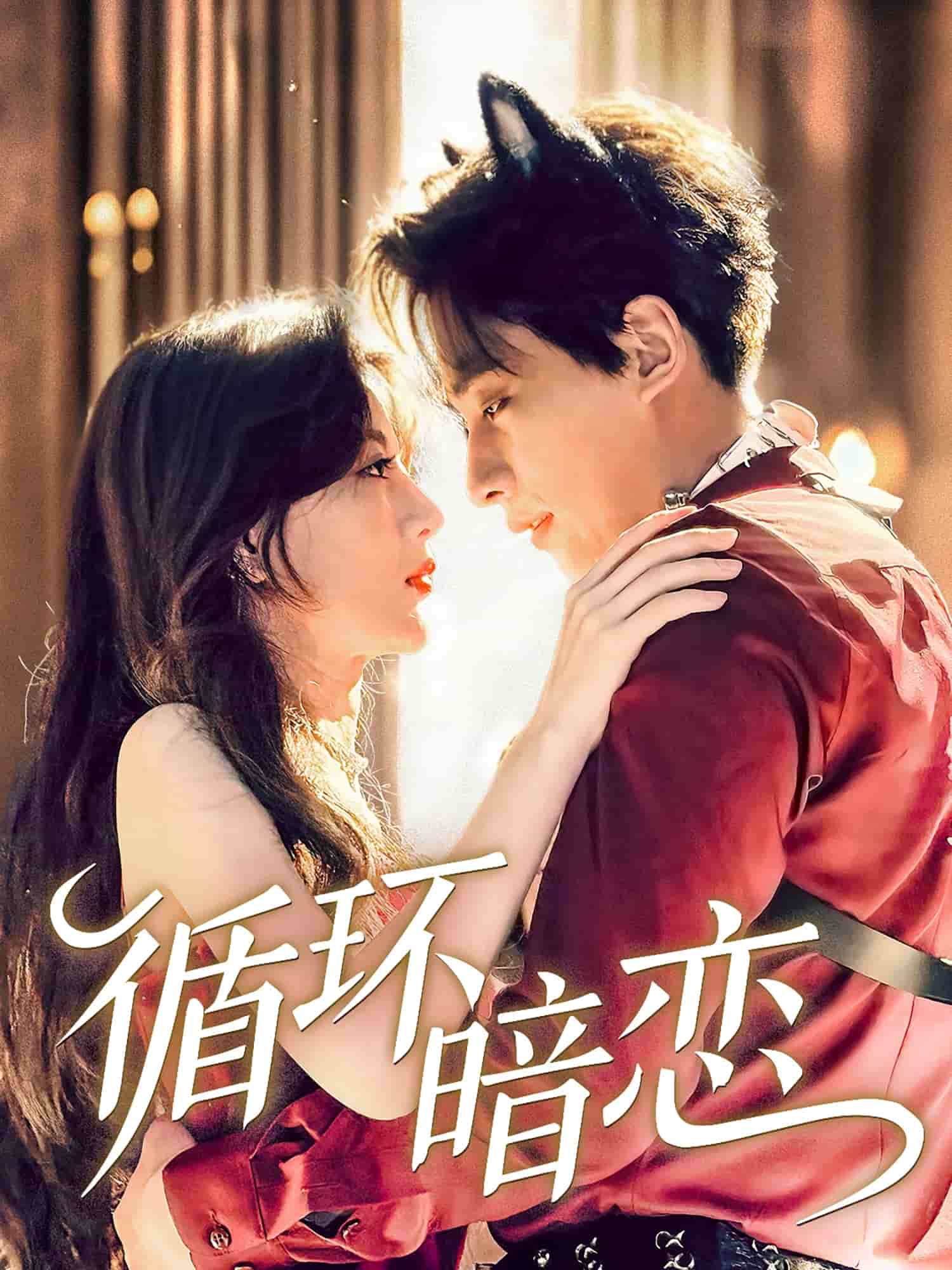 循环暗恋（1080）