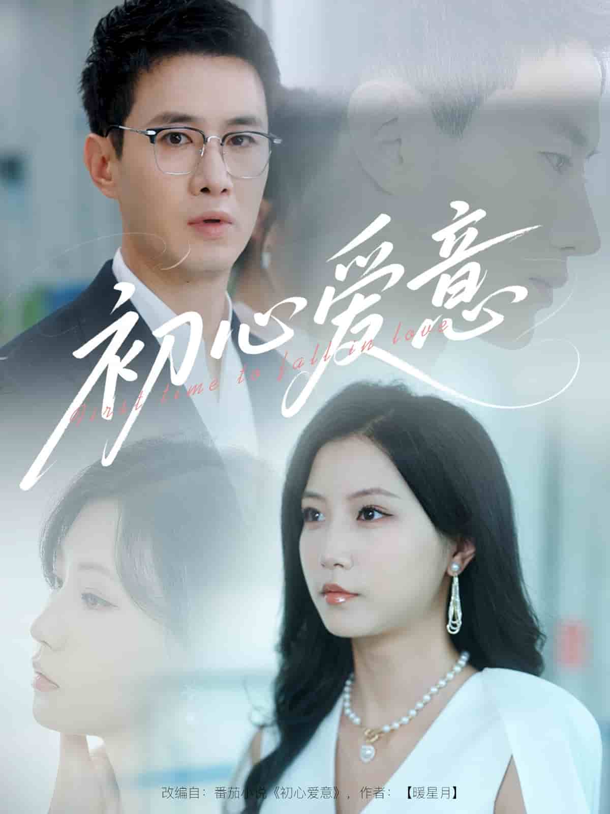 初心爱意（1080）