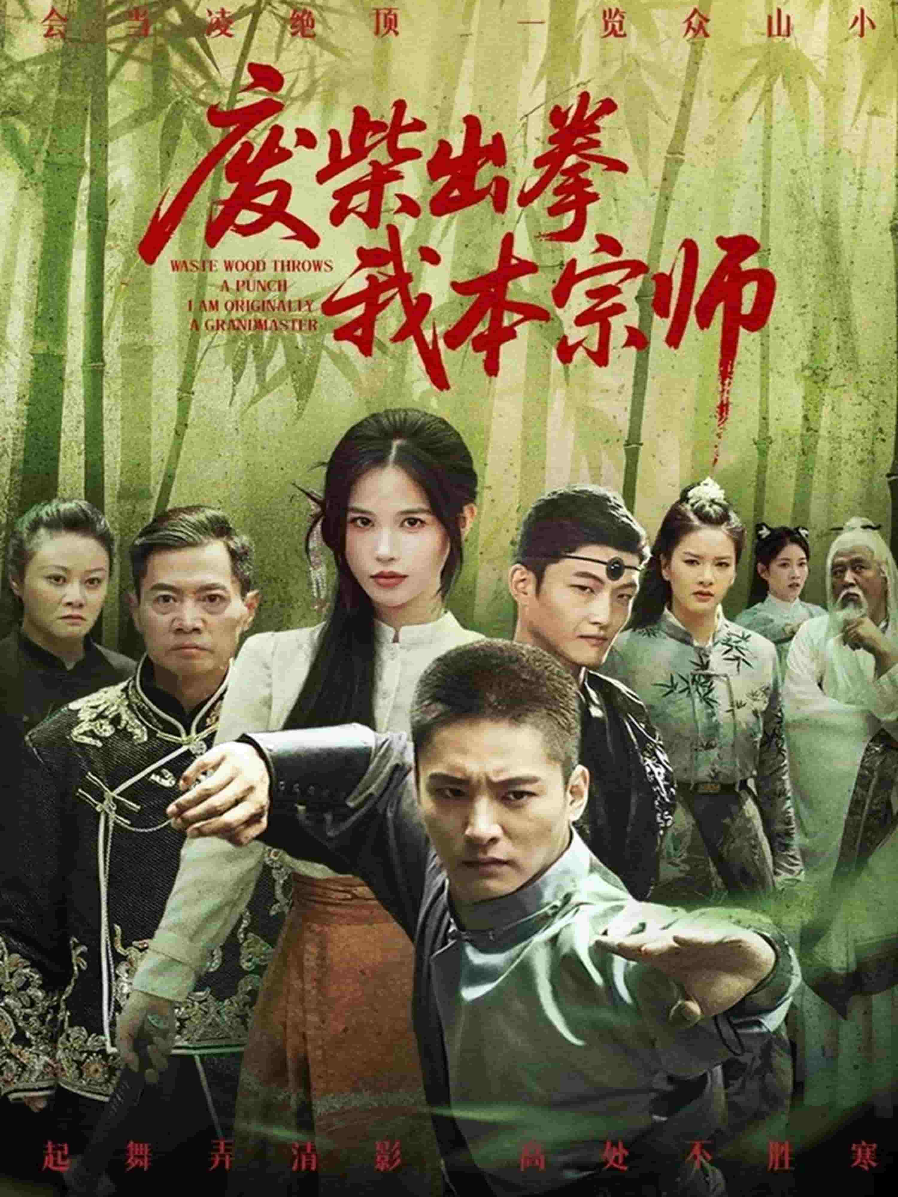 废柴出拳我本宗师（蓝光）