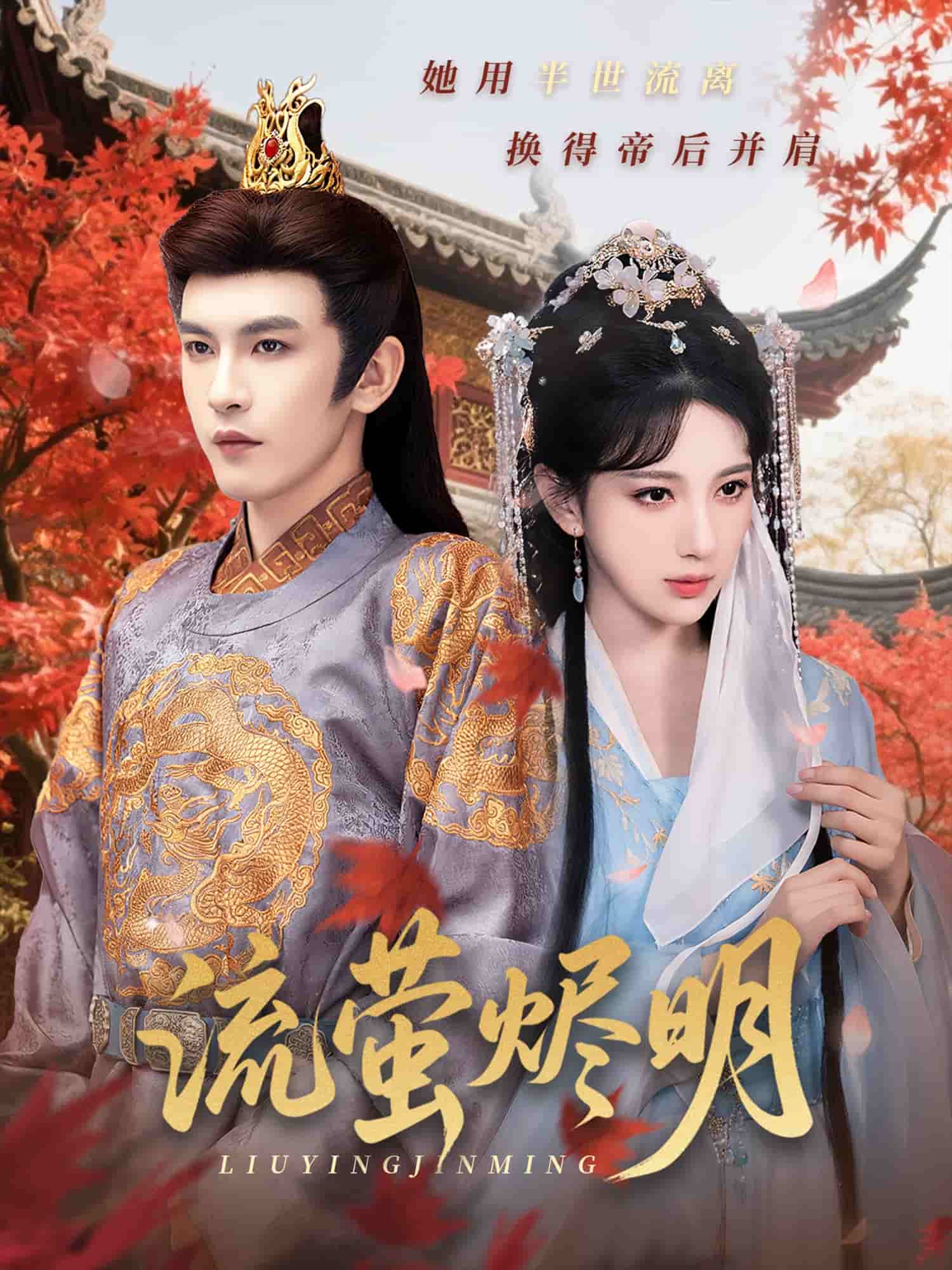 流萤烬明（蓝光）