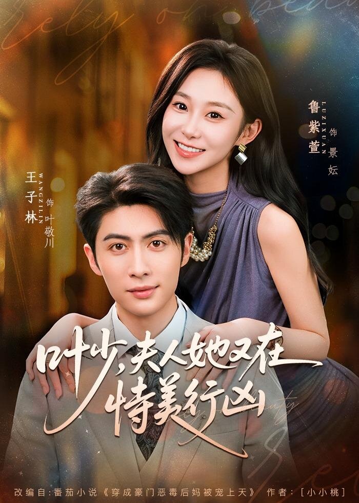 叶少夫人她又在恃美行凶（1080）
