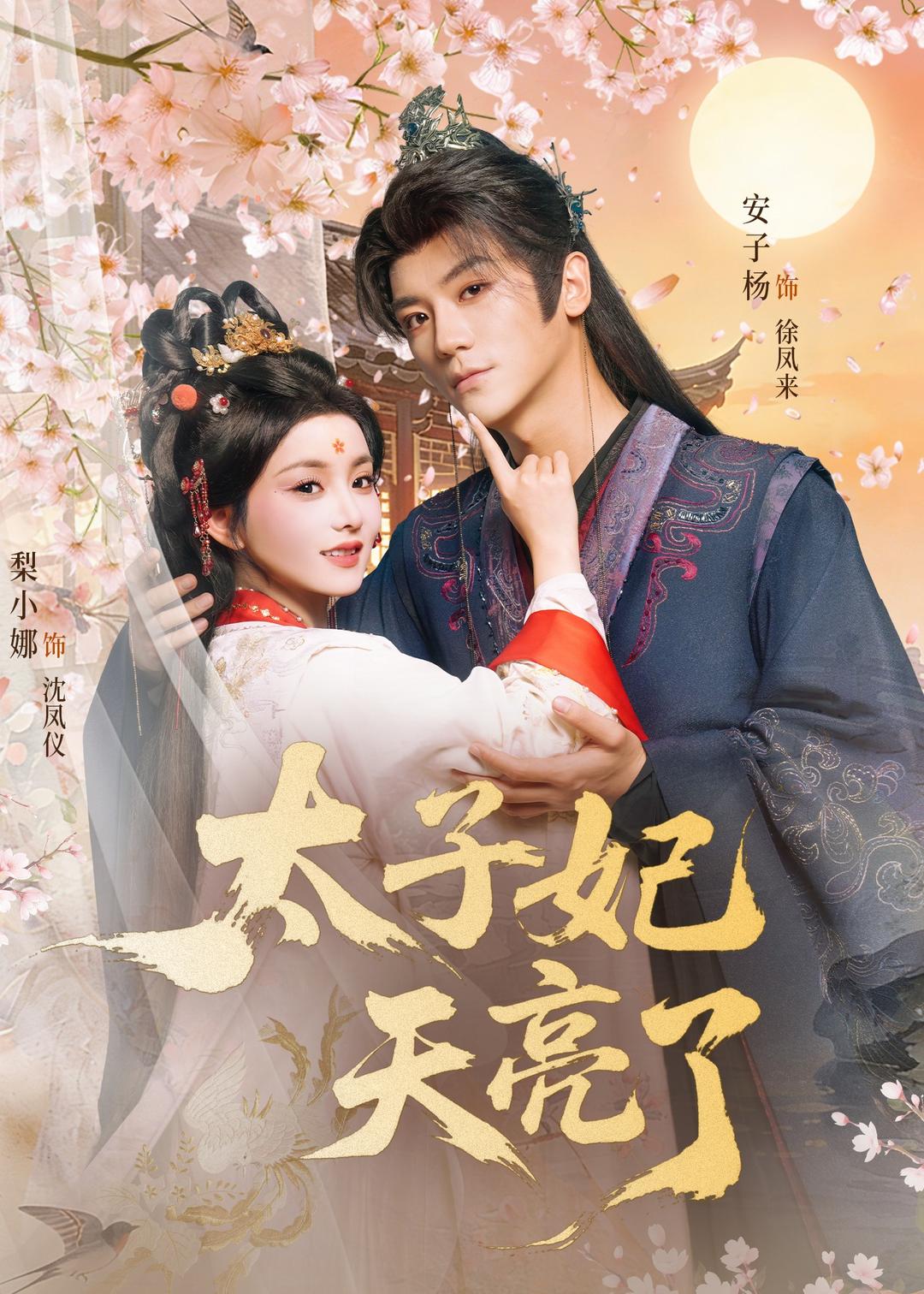 太子妃天亮了（蓝光）