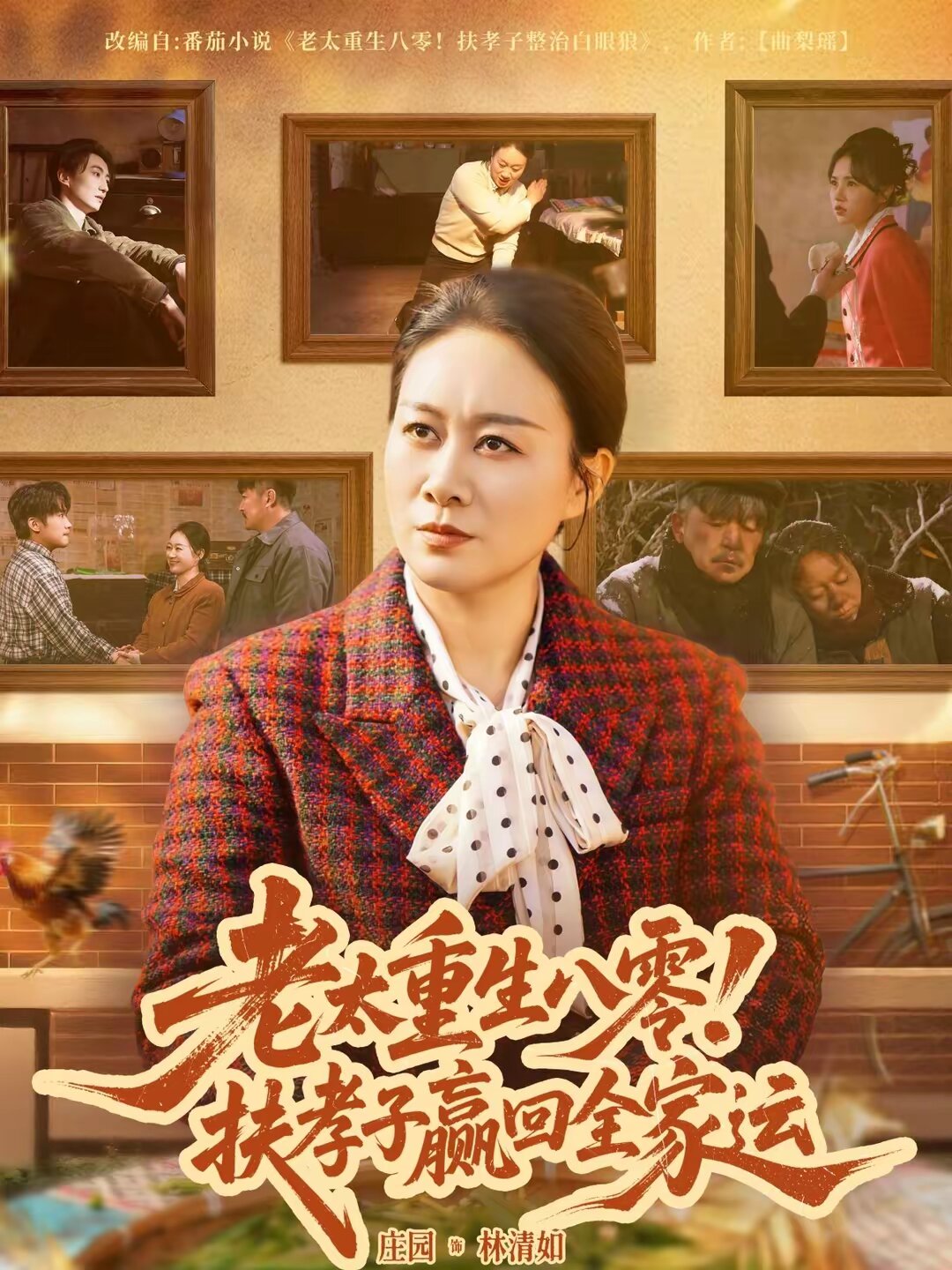 老太重生八零扶孝子赢回全家运（蓝光）