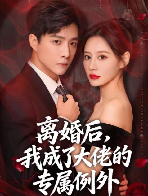 离婚后我成了大佬的专属例外（4K）