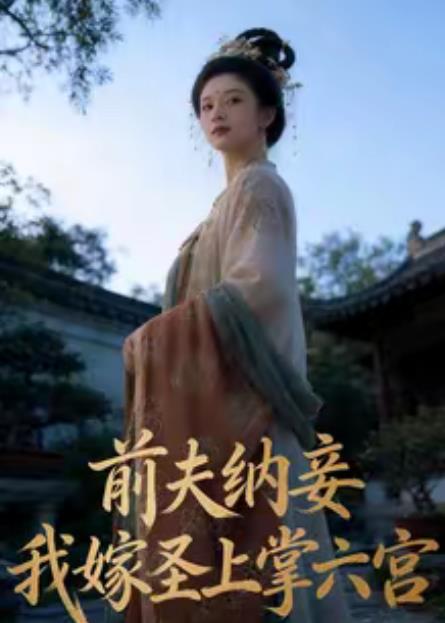 前夫纳妾我嫁圣上掌六宫（蓝光）