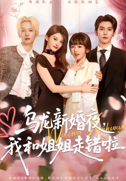乌龙新婚夜我和姐姐走错啦（蓝光）