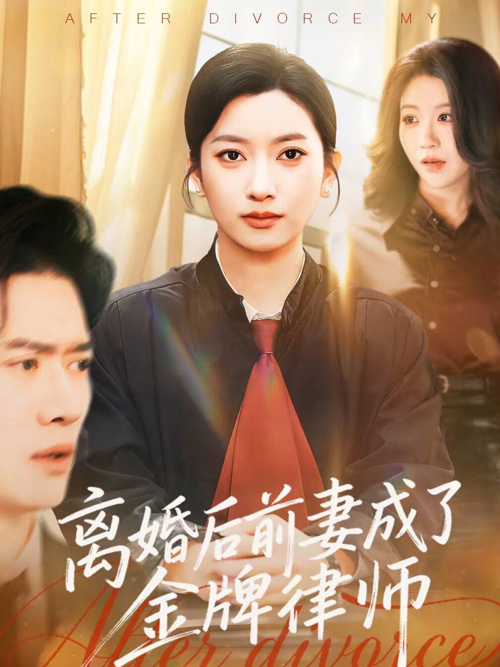 离婚后前妻成了金牌律师（蓝光）