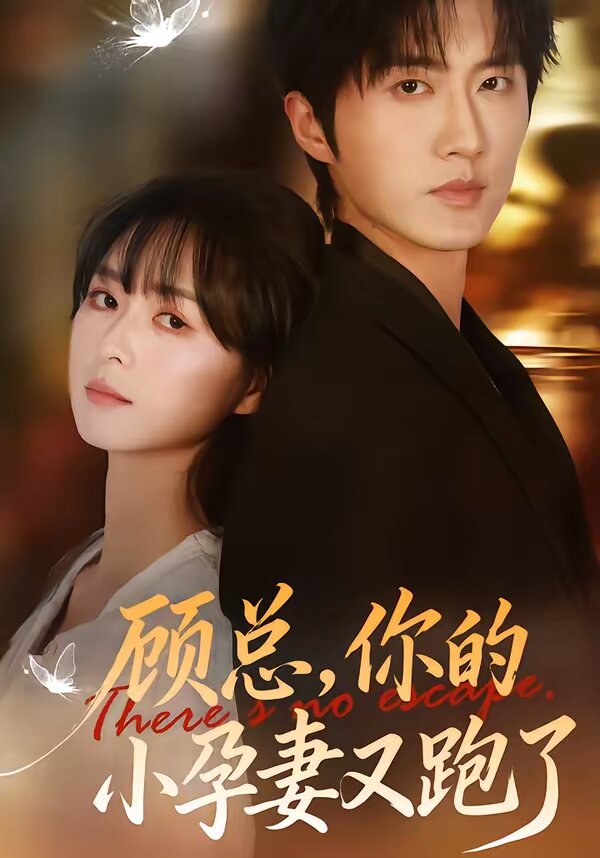 顾总你的小孕妻又跑了（蓝光）