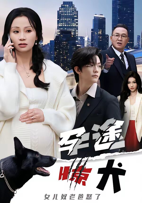 孕途惊犬女儿奴老爸怒了（蓝光）