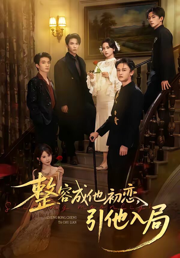 整容成他初恋引他入局（蓝光）