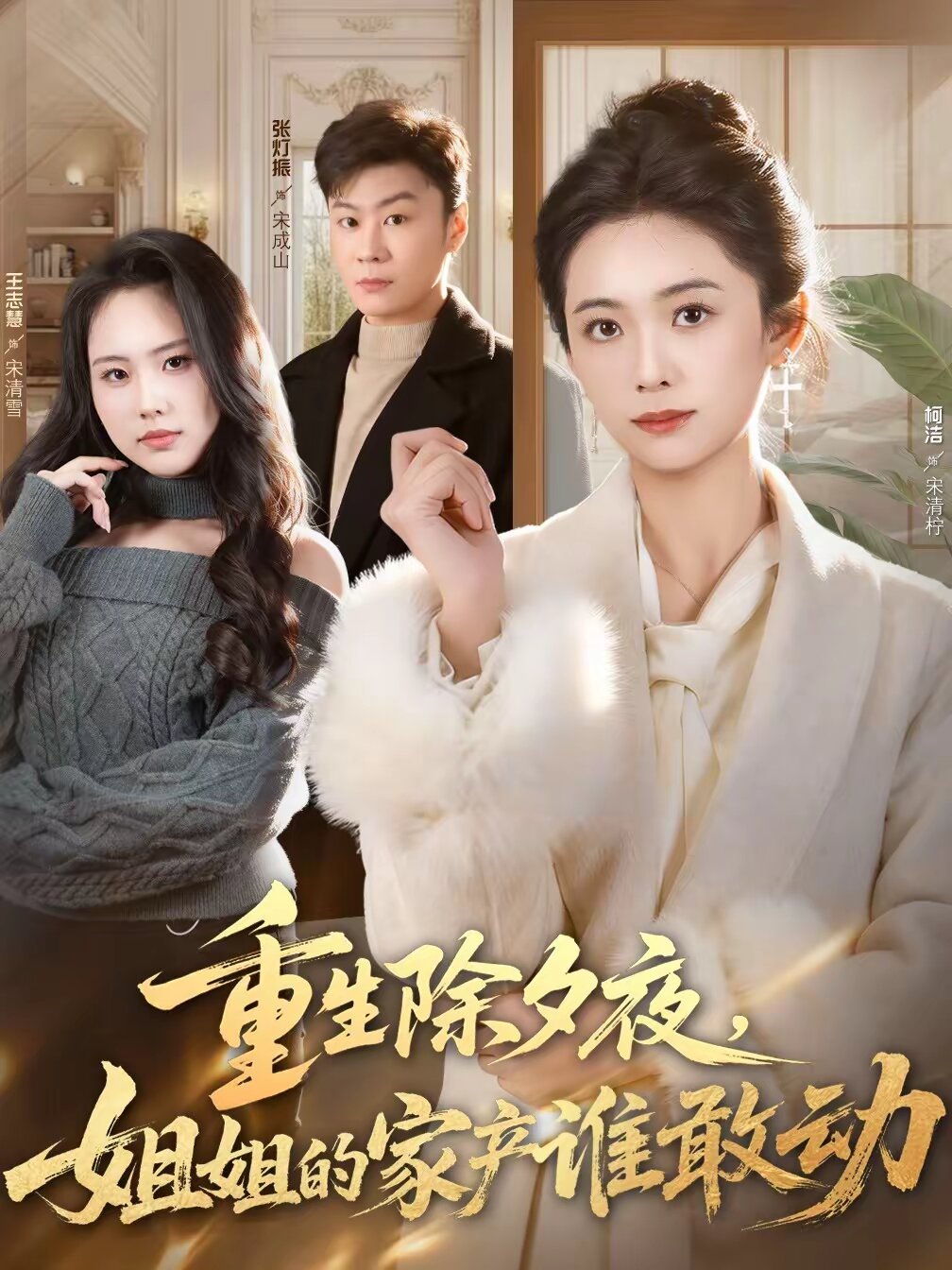 重生除夕夜姐姐的家产谁敢动（蓝光）