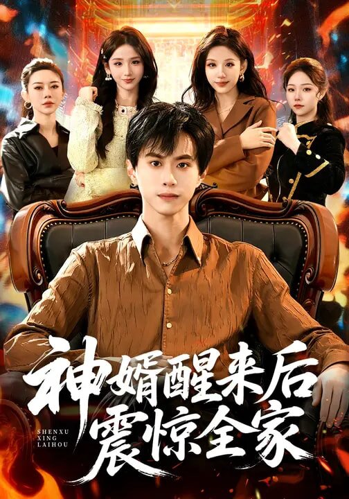 神婿醒来后震惊全家（蓝光）