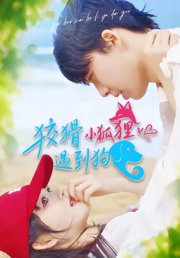 狡猾小狐狸遇到狗（4K）