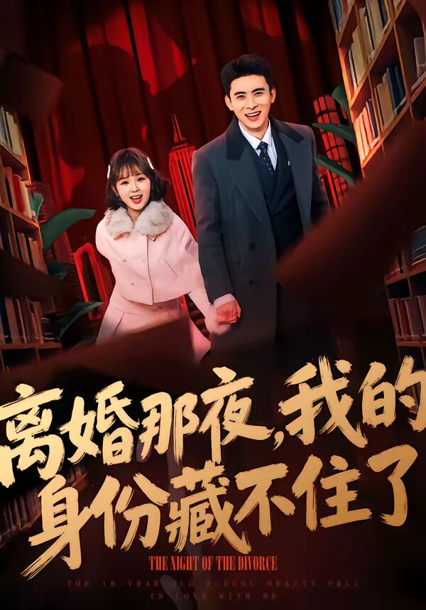 离婚那夜我的身份藏不住了（蓝光）