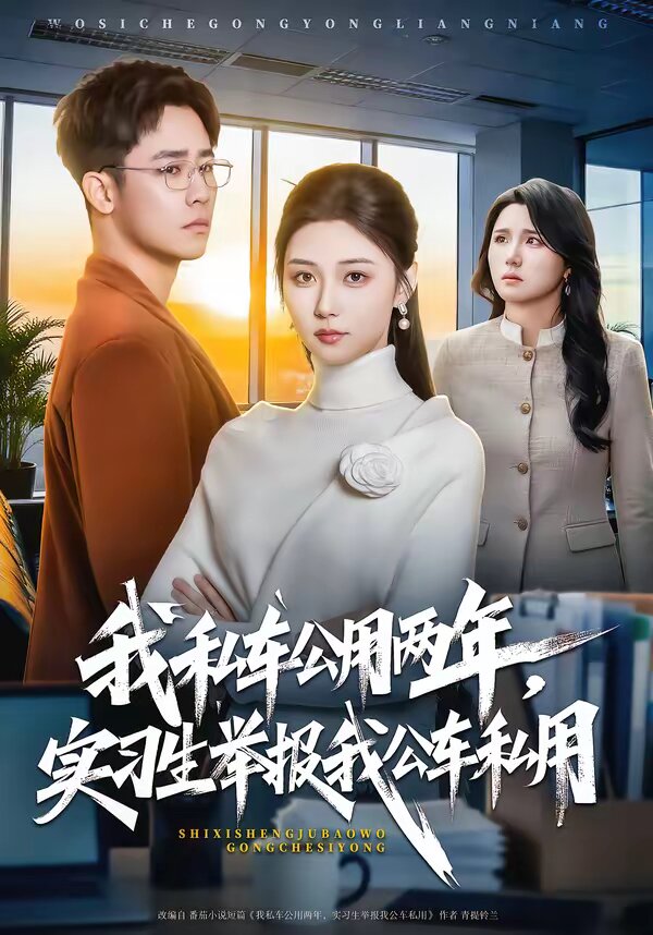 我私车公用两年实习生举报我公车私用（1080）