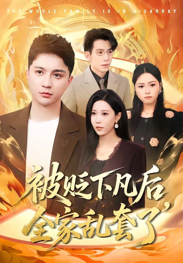被贬下凡后全家乱套了（蓝光）