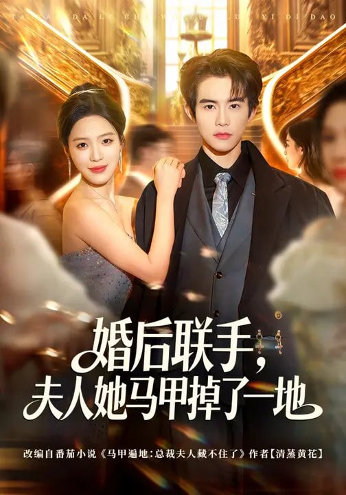 婚后联手夫人她马甲掉了一地（蓝光）