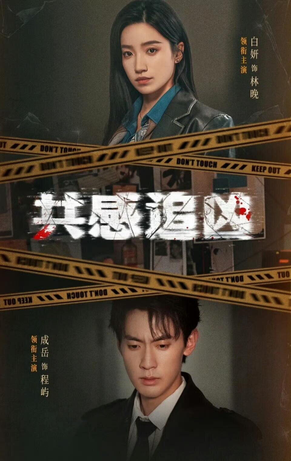 共感追凶（蓝光）