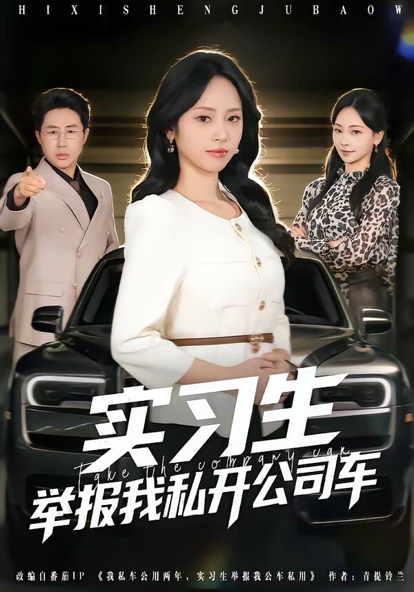 实习生举报我私开公司车（1080）