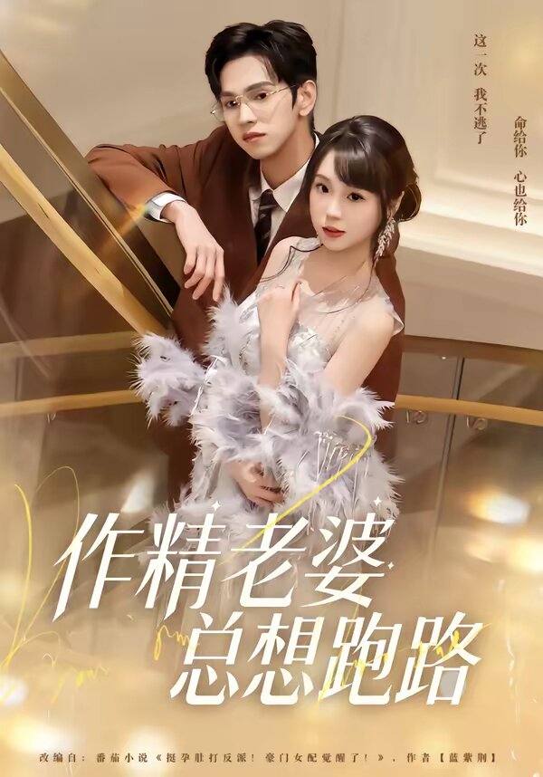 作精老婆总想跑路海报