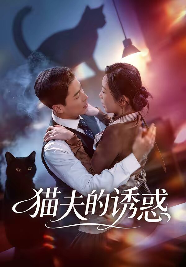 猫夫的诱惑海报